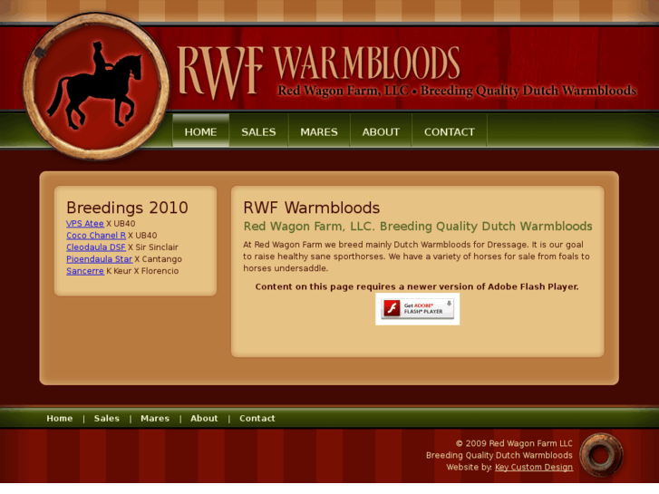 www.rwfwarmbloods.com