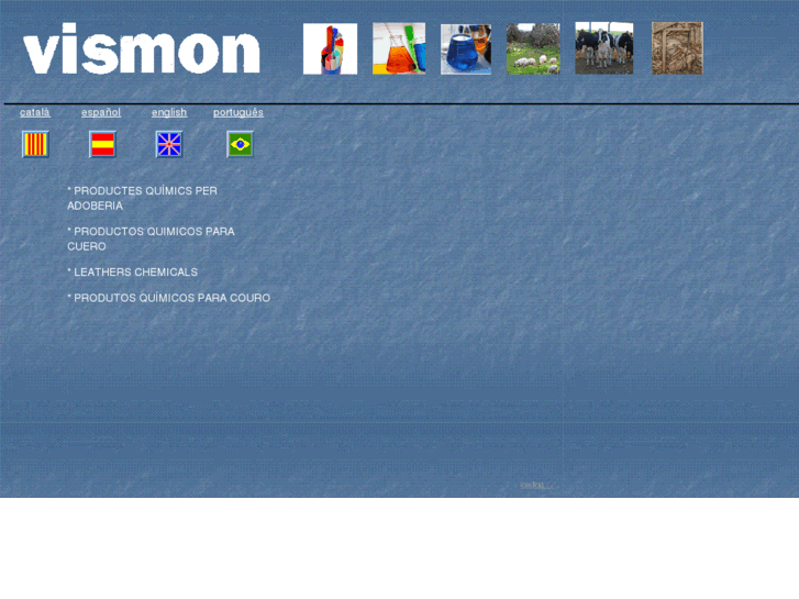 www.vismon.com