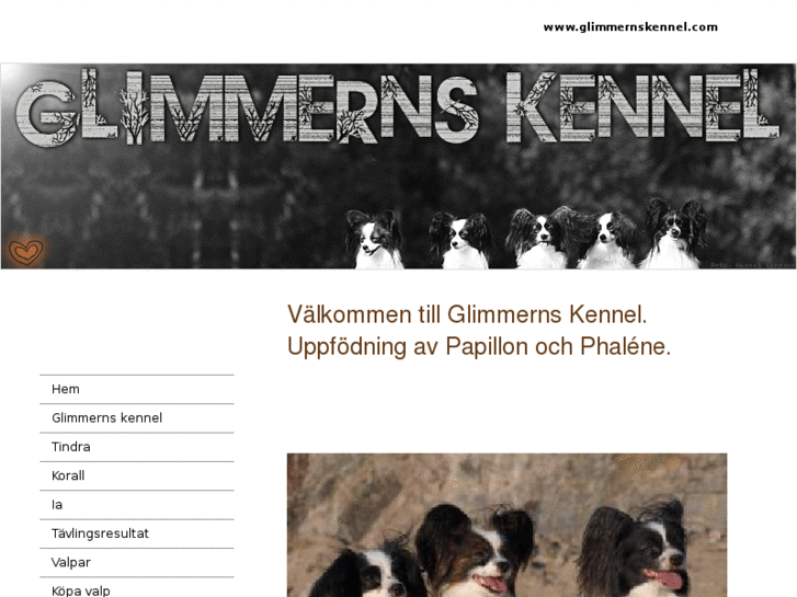 www.glimmernskennel.com