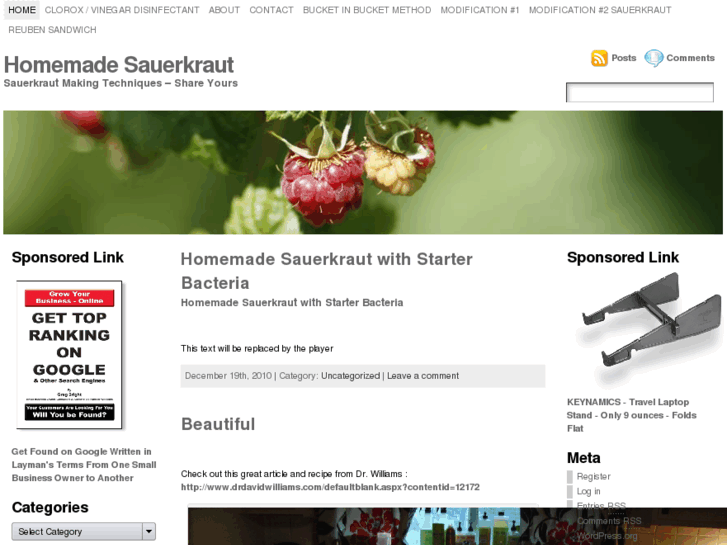 www.homemade-sauerkraut.com