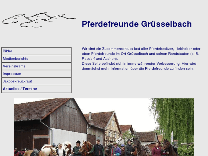 www.pferdefreunde-gruesselbach.de