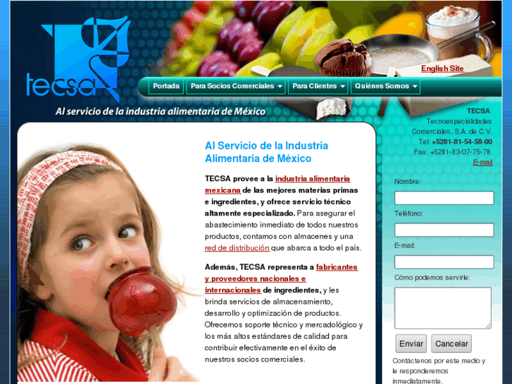 www.tecsa-mex.com