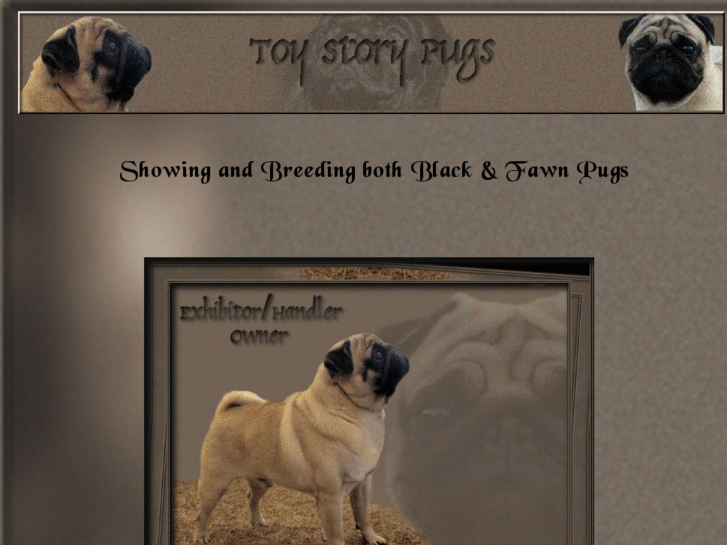 www.toystorypugs.com