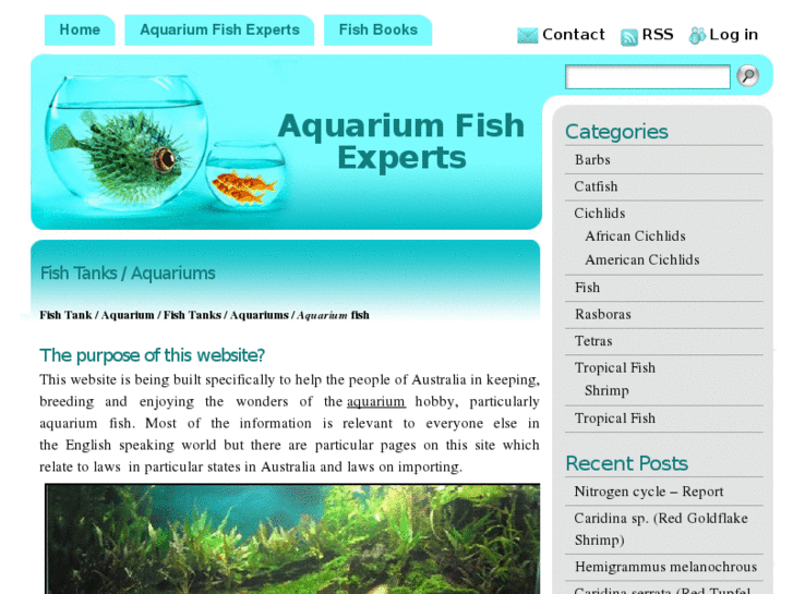 www.aquariumfishexperts.com.au