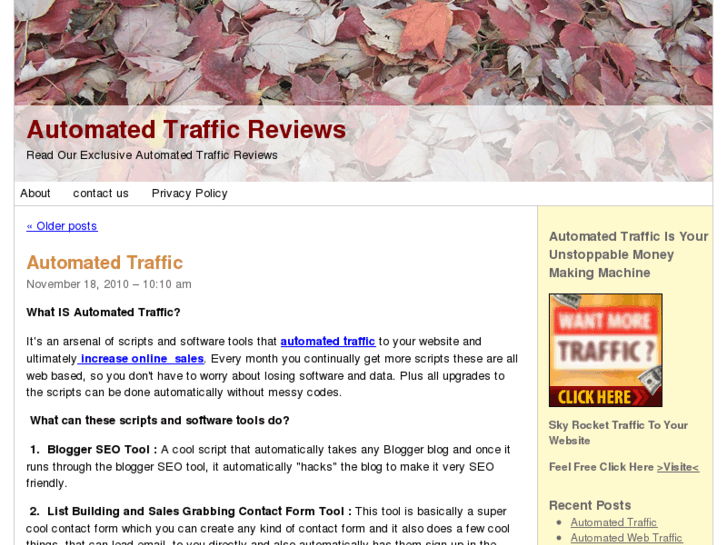 www.automatedtrafficreviews.com