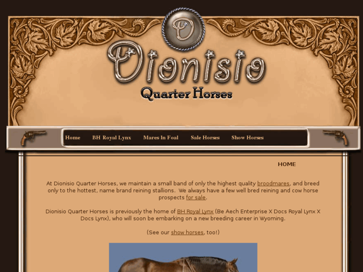 www.dionisioqh.com