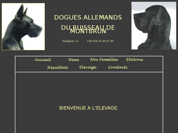 www.dogueduruisseaudemontbrun.com