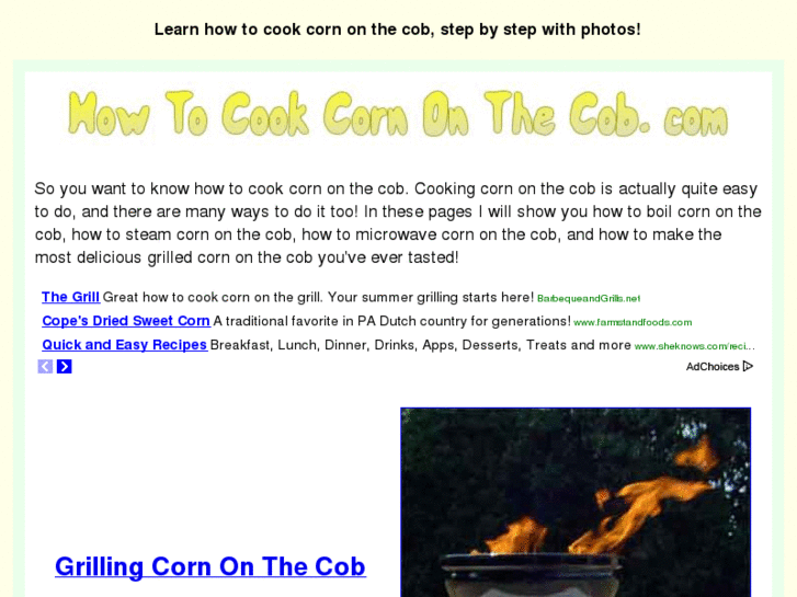 www.howtocookcornonthecob.com