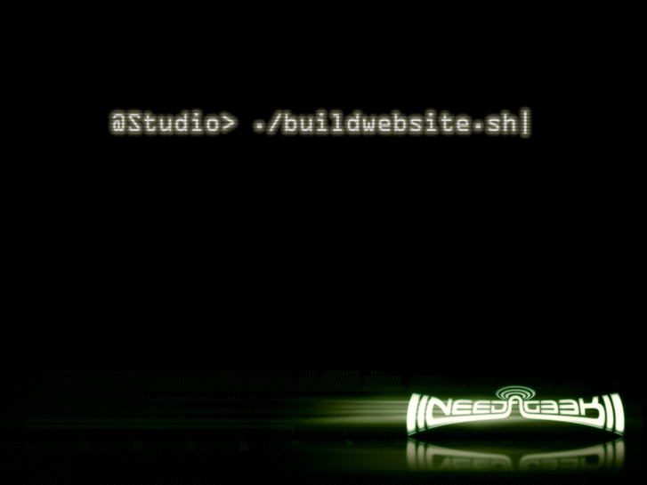 www.needageekcomputer.net
