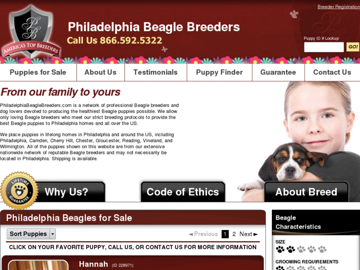 www.philadelphiabeaglebreeders.com