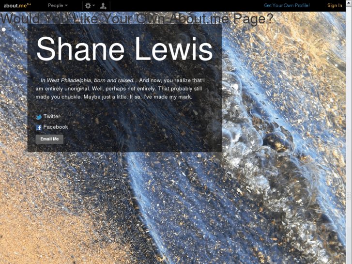 www.shanelewis.info