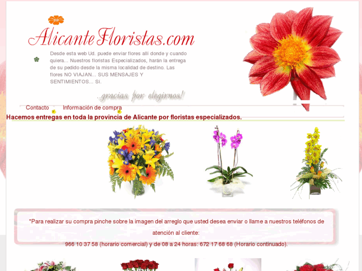 www.alicantefloristas.com