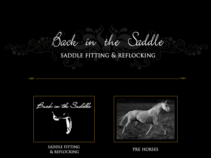 www.backinthesaddlesite.com