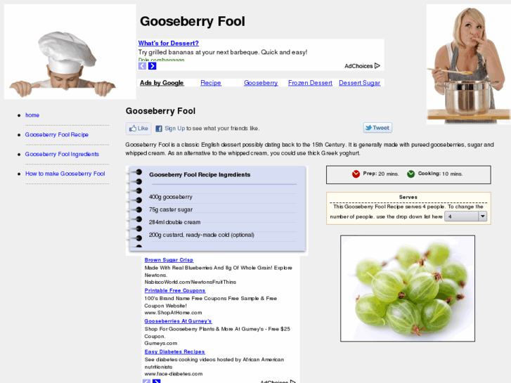 www.gooseberryfool.com