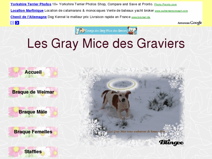 www.graymicedesgraviers.com