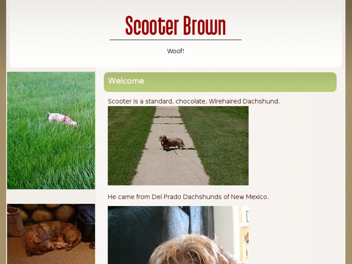 www.scooterbrown.com