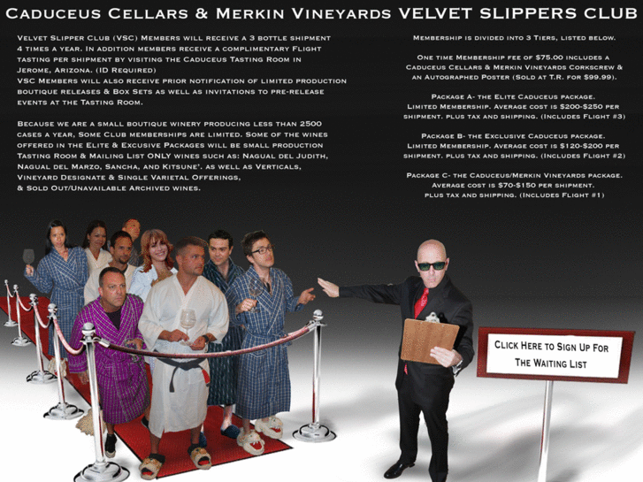 www.velvetslippersclub.com