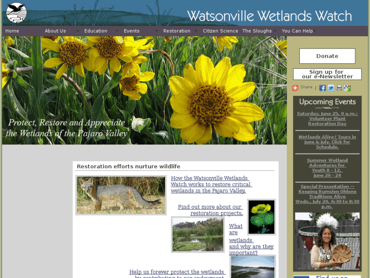 www.watsonvillewetlandswatch.org