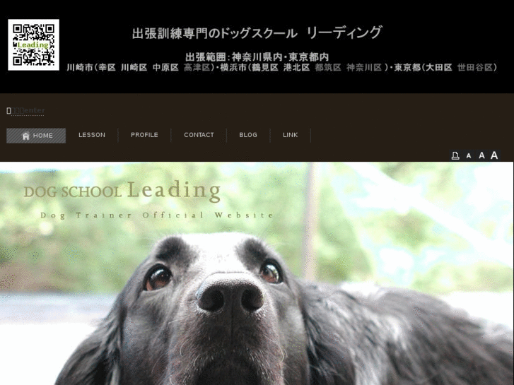 www.leading-dog.com