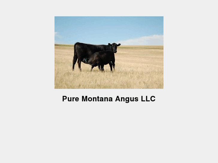 www.puremontanaangus.com