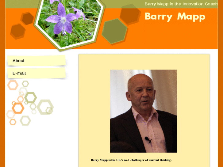 www.barrymapp.biz