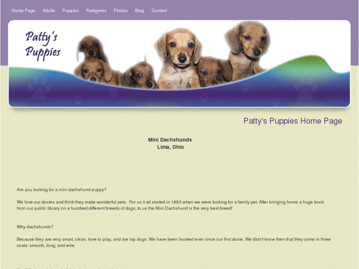 www.pattyspuppies.com