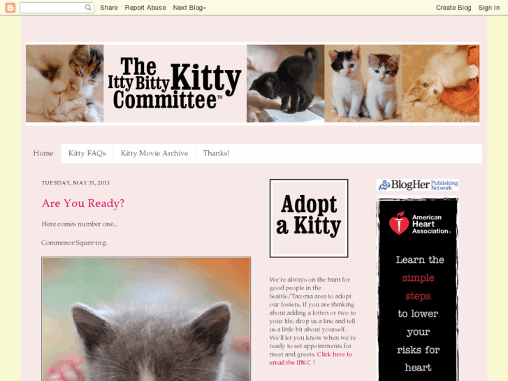 www.theittybittykittycommittee.com