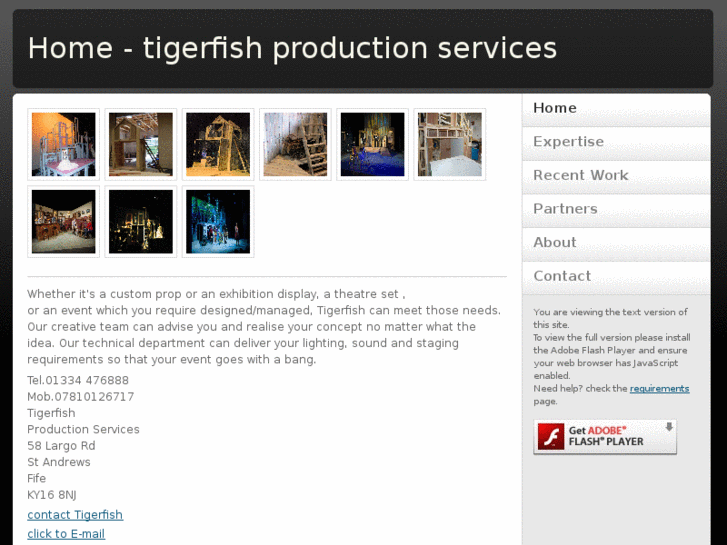 www.tigerfishproductionservices.com