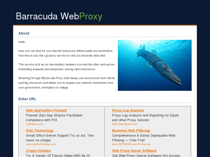 www.barracudaproxy.info