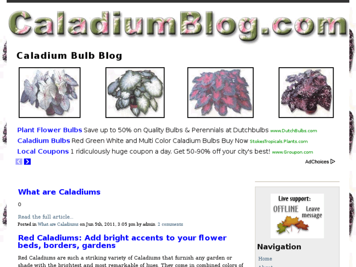 www.caladium-bulb.com