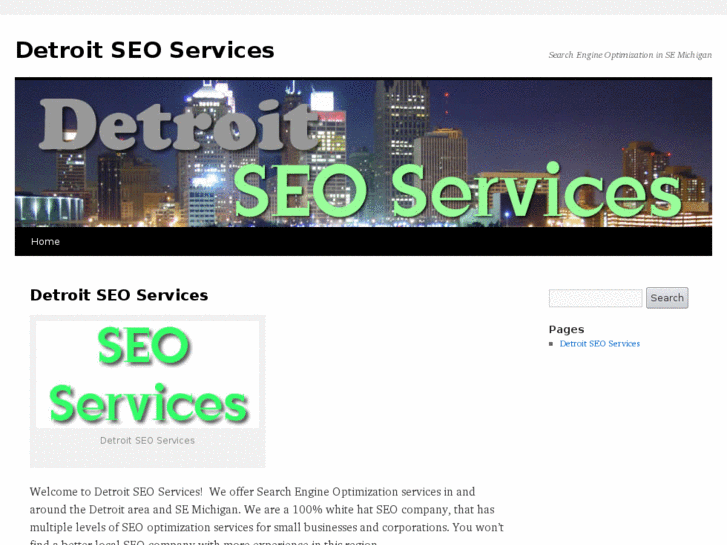 www.detroitseoservices.com