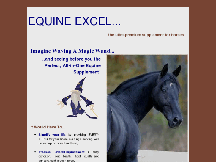 www.equineexcel.com