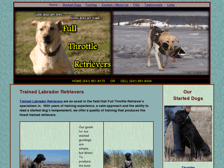 www.fullthrottleretrievers.com