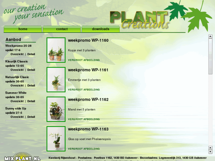 www.plantcreations.nl