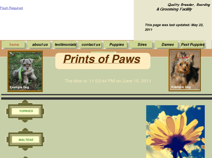 www.printsofpaws.net