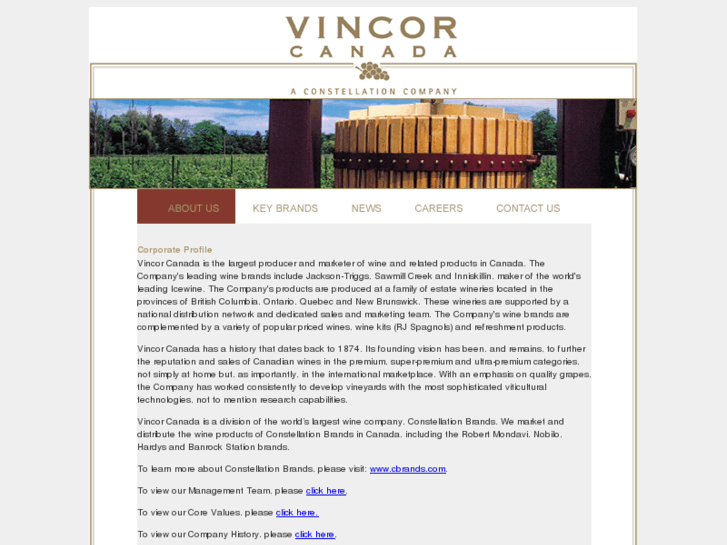 www.vincorinternational.com