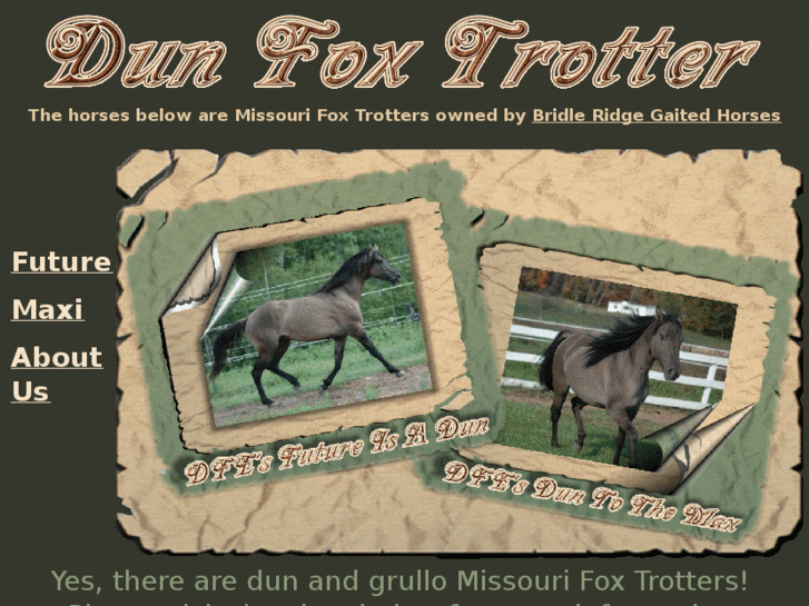 www.dunfoxtrotter.com