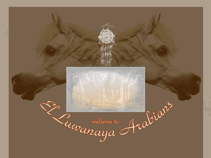 www.el-luwanaya-arabians.com