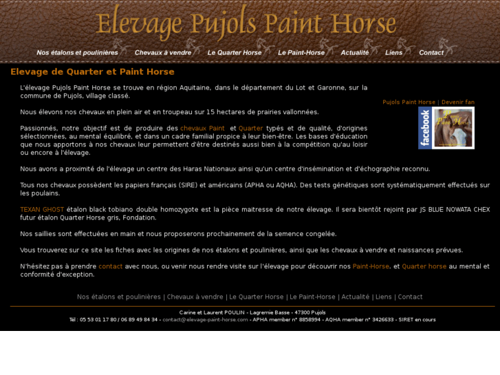 www.elevage-paint-horse.com