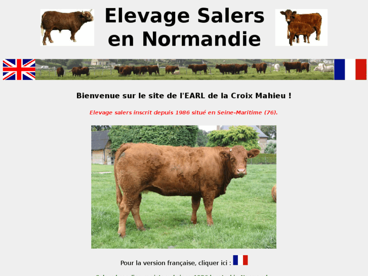 www.elevage-salers-normandie.com