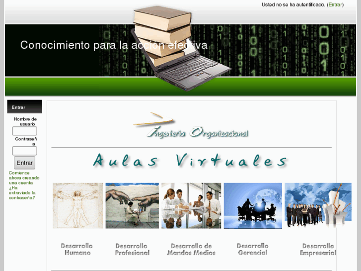 www.ingenieriaorganizacional.org