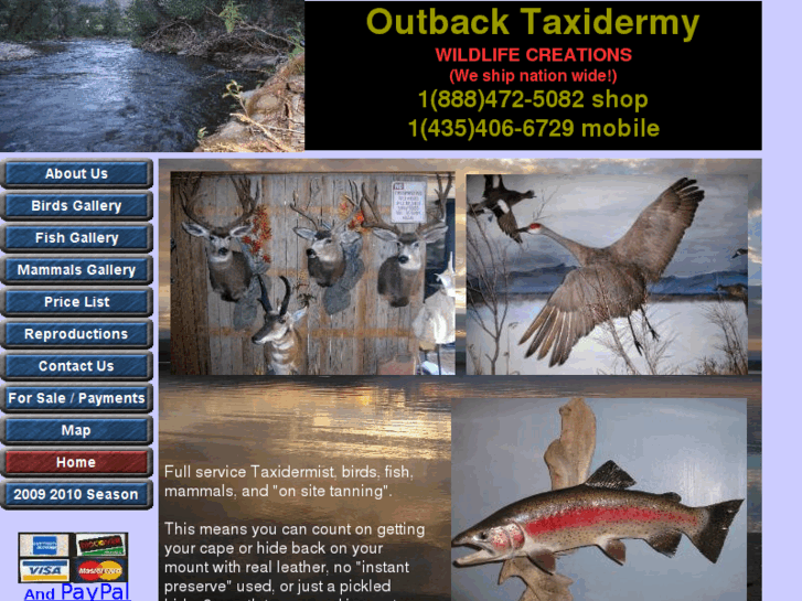 www.outback-taxidermy.com