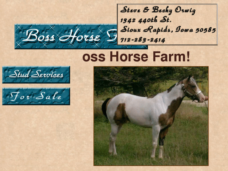 www.bosshorsefarm.com