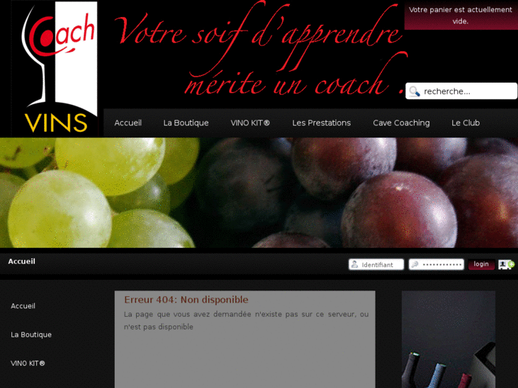 www.coachvins.info