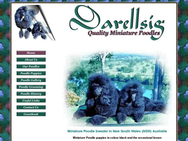 www.darellsigpoodles.com