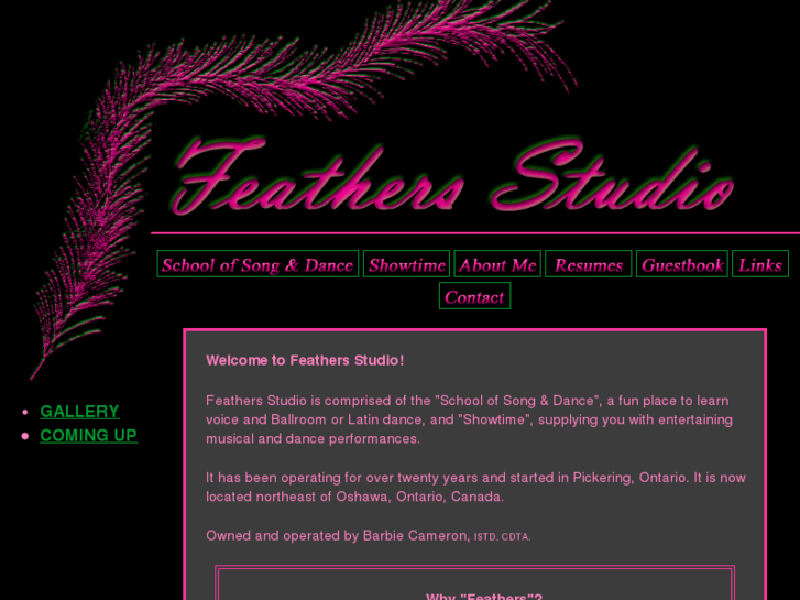 www.feathers-studio.com