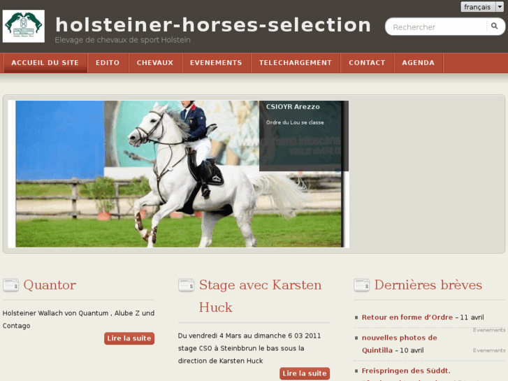 www.holsteiner-horses-selection.com