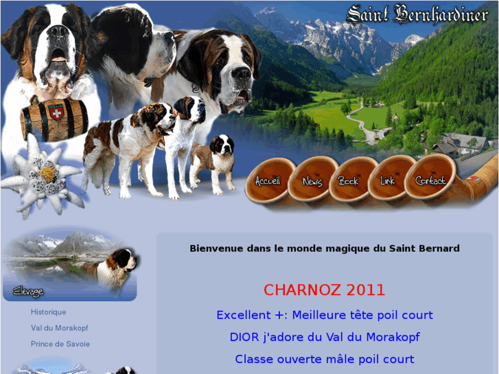 www.le-saint-bernard.net