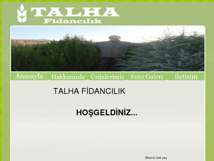 www.talhafidan.com