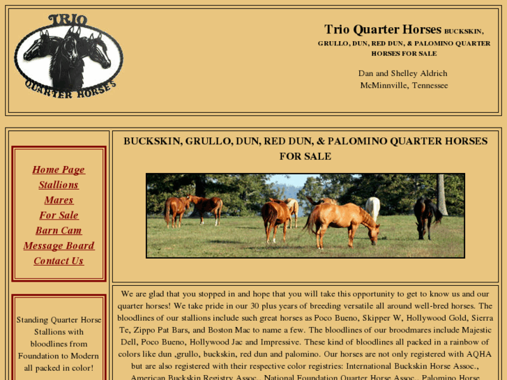 www.trioquarterhorses.com